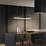 لوستر مدرن سقفی حلقه ای تک حلقه سایز 50 سانتی کد0028 - خرید بهترین کیفیت و قیمت در فروشگاه فروشگاه روشنایی دلوری